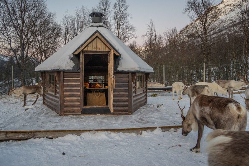 Grillhytte 7 Royal - Buet vegg