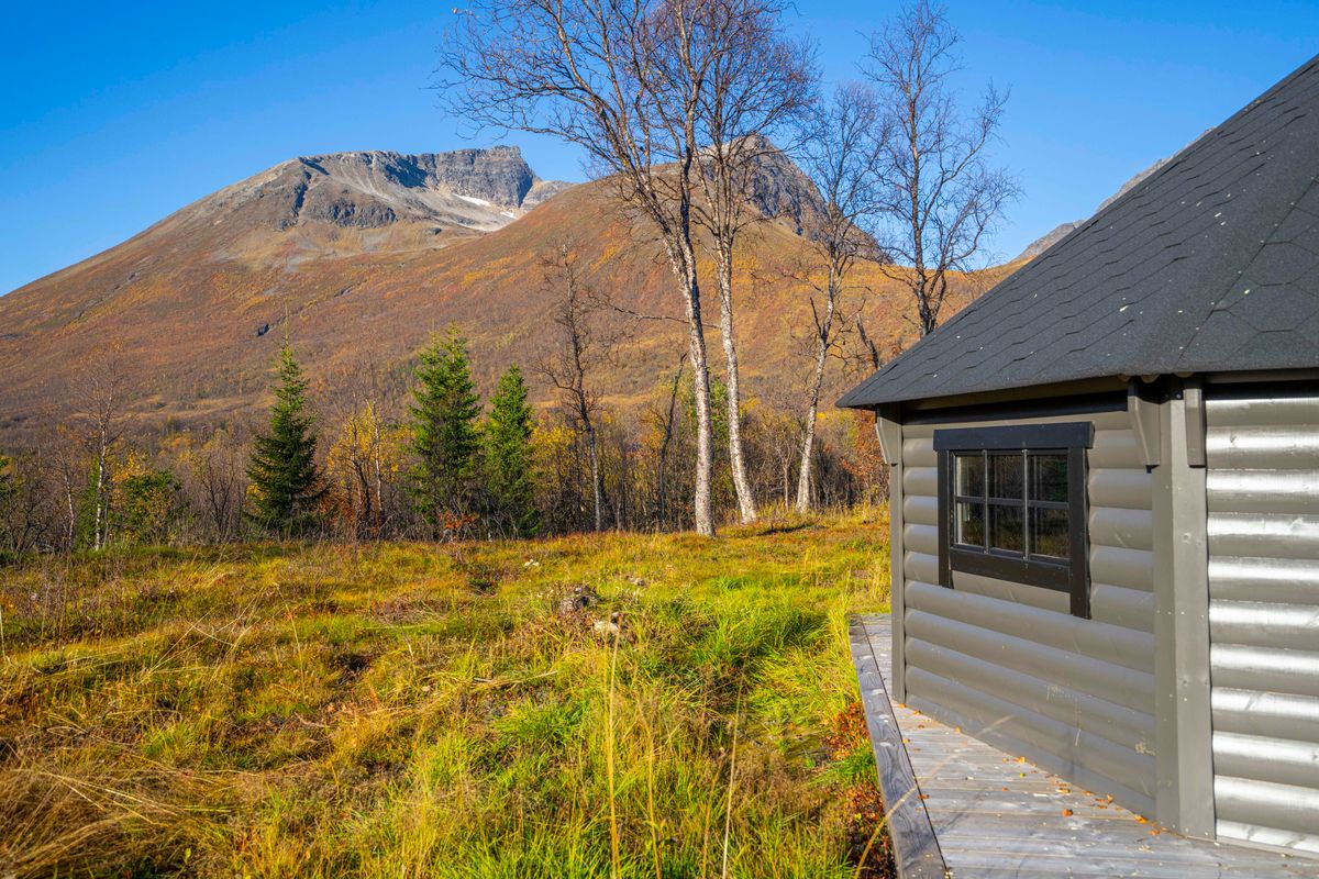 Gapahuk  15 m2 Royal med grill og benker - Buet vegg